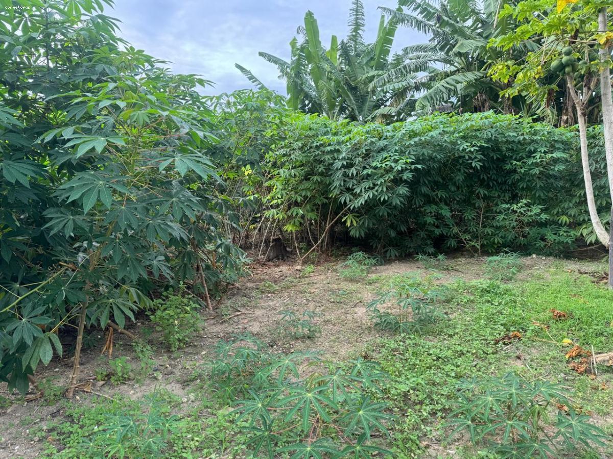 Terreno, 826 m² - Foto 9