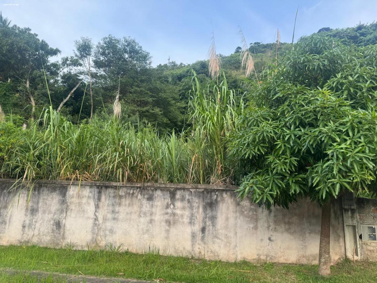 Terreno, 826 m² - Foto 6