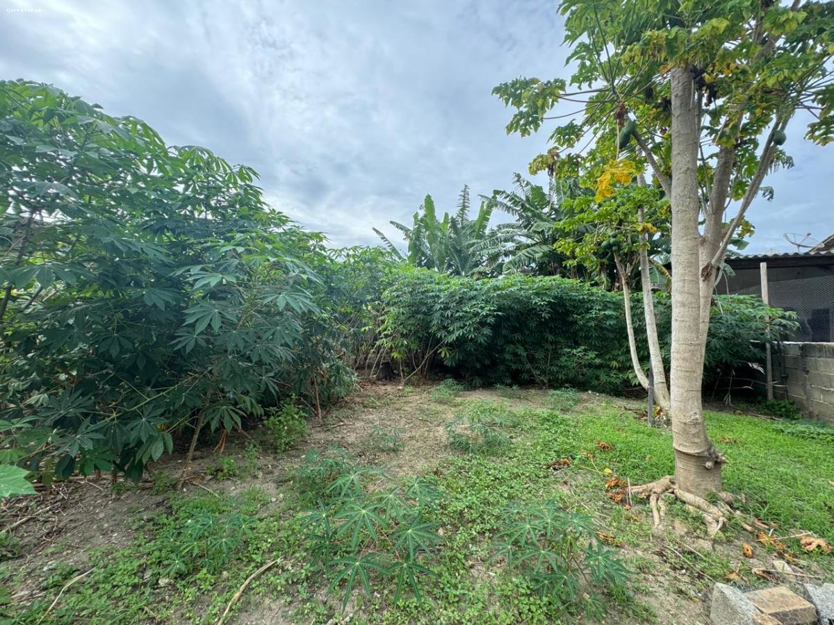 Terreno, 826 m² - Foto 11