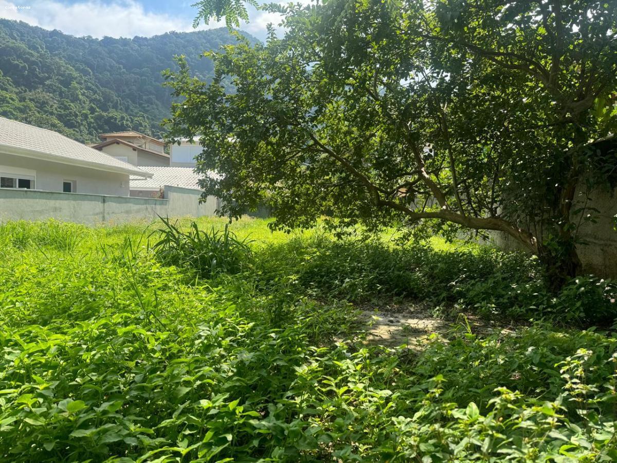 Terreno, 408 m² - Foto 5