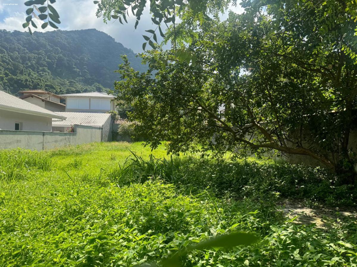 Terreno, 408 m² - Foto 2