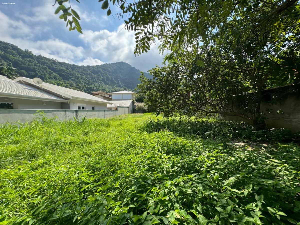 Terreno, 408 m² - Foto 3