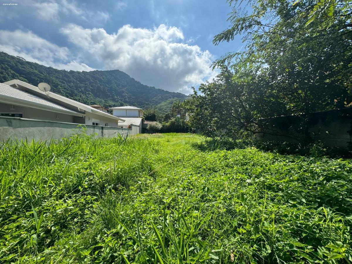 Terreno, 408 m² - Foto 10