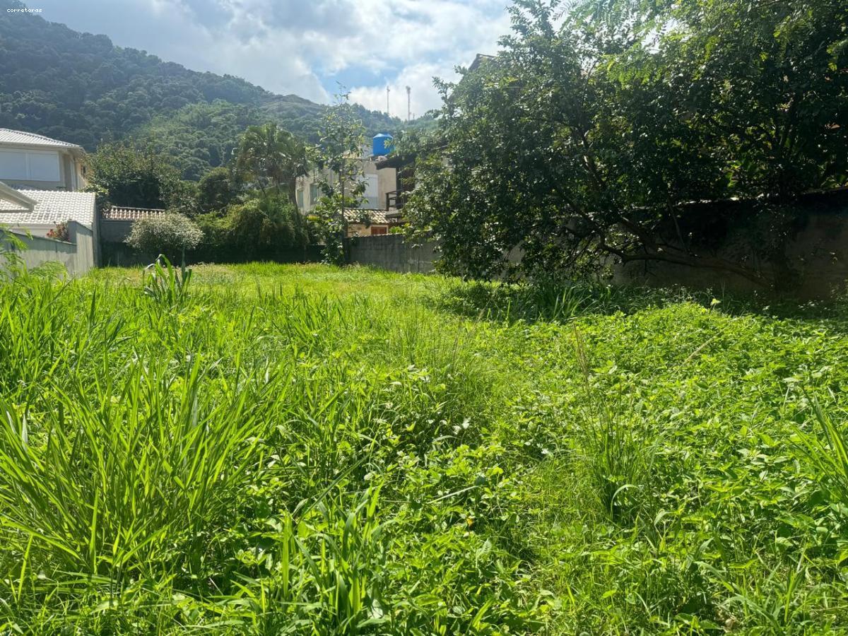 Terreno, 408 m² - Foto 8