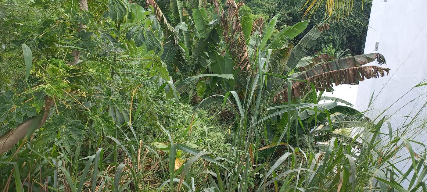 Terreno, 456 m² - Foto 1