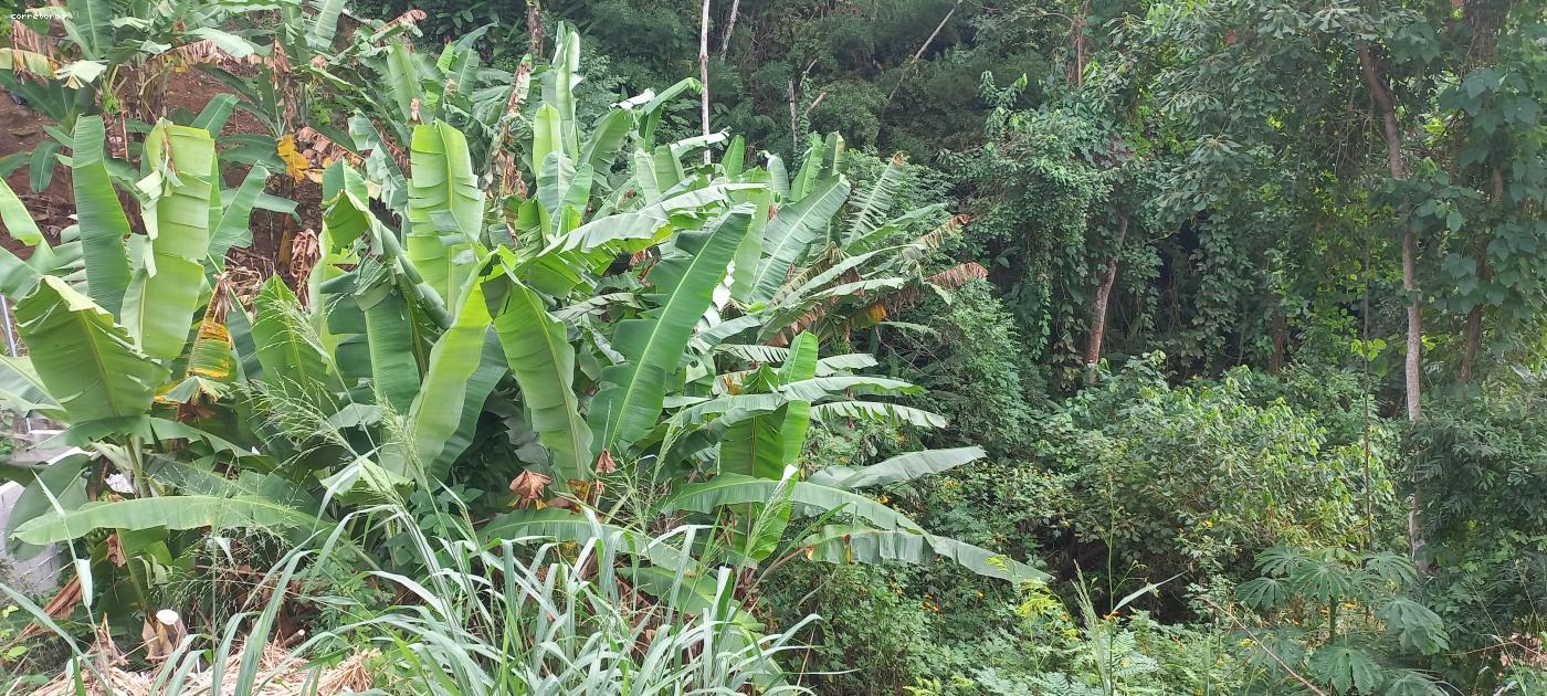 Terreno, 456 m² - Foto 4